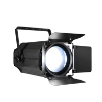 200W COB Led Spot Blanc Chaud Blanc Froid Zoom Blinder lumière TV studio Spot Light Disco Dj Night Club Led Stage Light