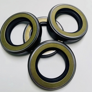 Sello de aceite de esqueleto, sello de entorno extremo para bombas aeroespaciales, componentes de sellado aeroespacial fabricados en China de alto rendimiento - Product Image 5
