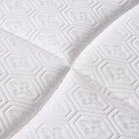 Matelas en Soie Glacée Doux, Régulateur de Température, Silicone Écologique, Respirant, Hypoallergénique, Anti-Moisissure/Anti-Acariens pour Chambre à Coucher