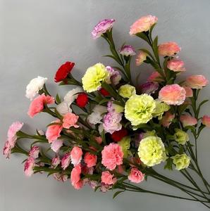 Flores de Clavel Artificiales de Seda al por Mayor de Fábrica Y-H088, 15 Cabezas, Claveros Artificiales Realistas para Decoración del Hogar y Bodas - Product Image 4