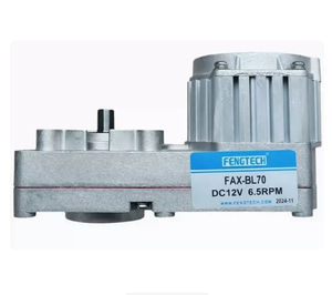 FAS-BL60 DC24V 40RPM <strong>FengTech</strong> Special Motor for Smoothie Machine FAX-BL70 FQB-BL70 DC12V 6.5RPM TT-BL 20RPM GF-64TYD AC220V/50HZ - Product Image 4