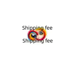 software shipping fee