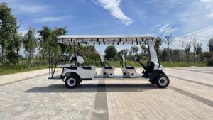 Barato coche de golf de doble asiento 4 plazas coche de Club eléctrico carrito de golf asequible 2 plazas mini coche de turismo golf - Product Image 6