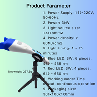 Unité de blanchiment des dents Lampe à main Accélérateur de blanchiment 10 LED Lumière froide Kit de blanchiment des dents puissant pour usage clinique à domicile