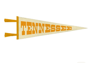 20*45cm Digital Printing University Felt Triangle <b>Banners</b> - Product Image 6