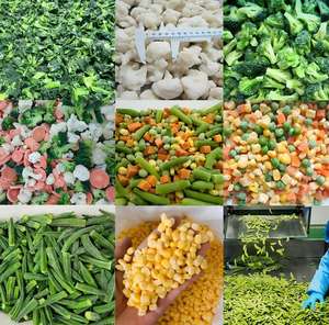 Feuilles d'<span class=keywords><strong>épinards</strong></span> surgelées IQF de qualité supérieure, directement de l'usine, ingrédients blanchis de haute qualité, légumes surgelés pour la vente au détail - Product Image 5