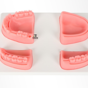 Set de Instrumentos de Sutura de Cuatro Dientes, Módulo Oral, Maniquí de Entrenamiento de Sutura, Tamaño Real, Material de PVC Avanzado para Periodontitis y Encías - Product Image 6