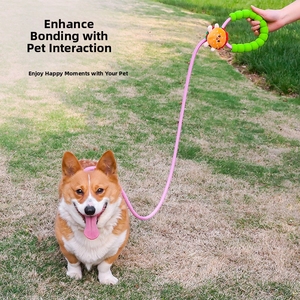 Novedad <span class=keywords><strong>2026</strong></span>: Conjunto de Correa y <span class=keywords><strong>Collar</strong></span> Antitirones para Perros, Correa de Cuerda Trenzada para Perros Pequeños y Medianos, Accesorio para Paseos al Aire Libre - Product Image 2