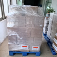 Sabot de meulage diamanté trapézoïdal haute dureté à 2 segments, personnalisable OBM & OEM pour le meulage des sols en béton et de la pierre