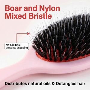 Low Minimum Order Boar Bristle Detangling Hair Brush Promotional <b>Gift</b> Air Cushion Massage Comb for Online Boutiques Box - Product Image 3