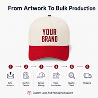 Gorra de Béisbol Personalizada con Logotipo Metálico, Estructurada de 6 Paneles, Visera en Contraste, Ajustable con Cierre a Presión, Venta al Por Mayor, Marca Privada, Estilo Urbano