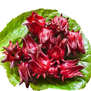 Гибискус оказывает влияние на снижение температуры, снижение артериального давления, тонизирование ци и уравновешивание значения pH в организме. Розель - Product Image 2