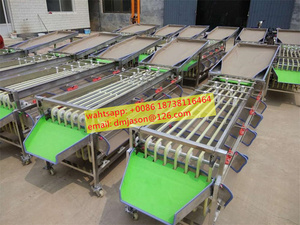 Máquina Clasificadora de Aguacates, Cebollas, Patatas, Ajos, Tomates, Kiwis, Arándanos y Dátiles por Tamaño - Product Image 3