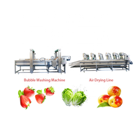 Spinazie Aardbei Sinaasappel Champignon Komkommers Fruit Groente Gemotoriseerde Bellenwasmachine Wasmachine