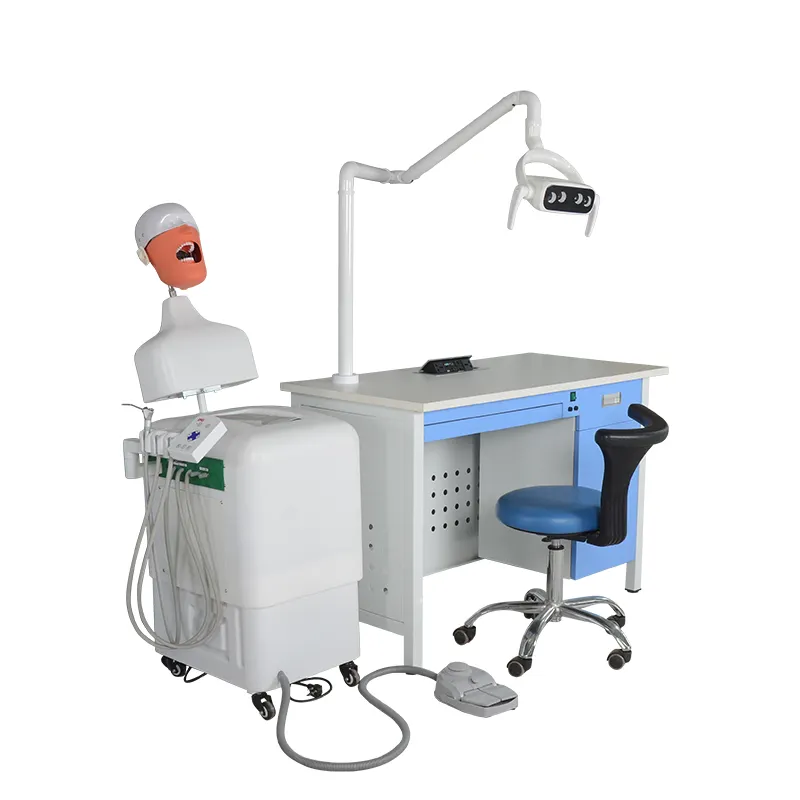 चिकित्सकीय लैब उपकरण चिकित्सकीय प्रशिक्षण सिम्युलेटर चिकित्सा चिकित्सकीय प्रशिक्षण मॉडल प्रेत के साथ सिर