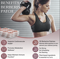 Acentiallabs Patchs Transdermiques à l'Extrait Herbal de Berbérine pour le Contrôle de l'Appétit et la Perte de Poids - Soutien Naturel Pur pour le Sommeil et la Fermeté de la Peau