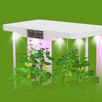 Système d'hydroponie intelligent à commande à distance, armoire de culture automatique pour plantes d'intérieur, planteur hydroponique pour la laitue et les herbes