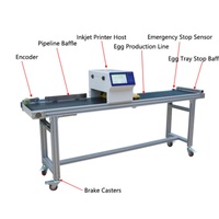 Imprimante à œufs automatique à 6 têtes durable d'usine, imprimante à date haute résolution 600 dpi, imprimante à jet d'encre pour œufs pour marquage métallique