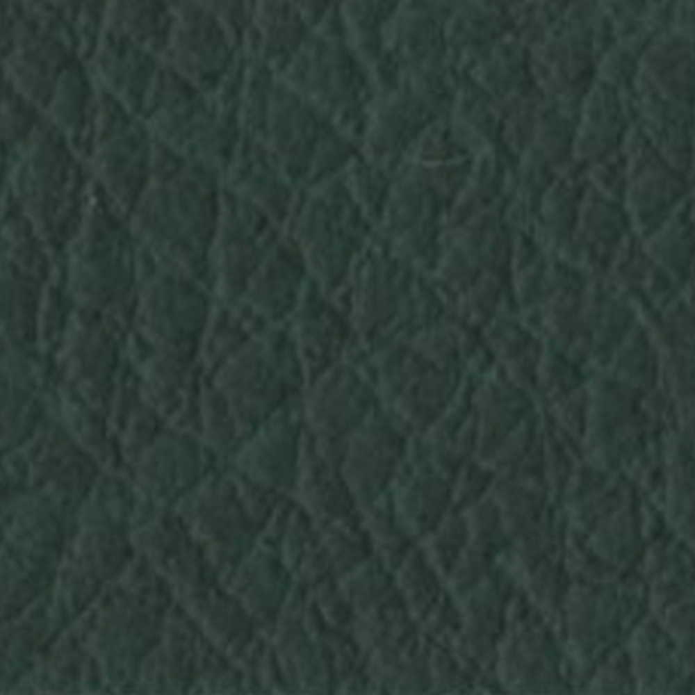 7# Dark Green