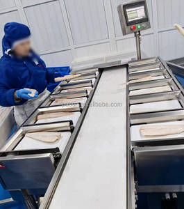 Trieuse industrielle de poids d'écrevisses/Machine de classement Yabbies/Machine de pesage de crabe - Product Image 4