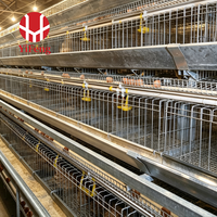 Cage à poules pondeuses de type A avec alimentation et abreuvement automatiques, collecte des œufs, courroie de fumier, abreuvoir à tétine 3 niveaux, pour élevage avicole en batterie