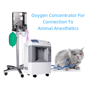 Générateur d'oxygène portable IN-10L, équipement vétérinaire, instrument médical, concentrateur d'oxygène, vente chaude - Product Image 5
