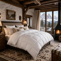 Couette d'hiver extra chaude 90% duvet de canard, taille King, avec compartiments, en coton anti-duvet, épaisse, vente en gros