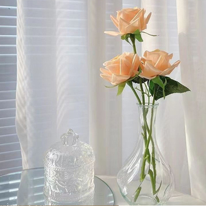 <span class=keywords><strong>Vase</strong></span> en verre classique minimaliste pour la maison, <span class=keywords><strong>vase</strong></span> <span class=keywords><strong>hydroponique</strong></span> pour plantes et fleurs, exquis et durable, très vendu - Product Image 4