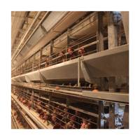 Design moderne Cage de batterie automatique de type H pour poules pondeuses Cage pour animaux d'élevage de volaille en nouvel état