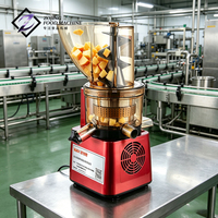 Professionele CE-gecertificeerde sapcentrifuge, commerciële food-grade sapmachine met 35 RPM voor restaurants en hotels