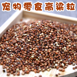 Riz de sorgho avec coques 500G pour oiseaux, lapins, chinchillas, petits animaux, collations écologiques pour animaux de compagnie - Product Image 4