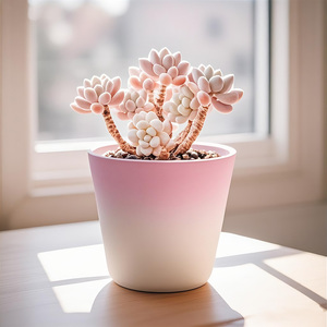 Commercio all'ingrosso <span class=keywords><strong>di</strong></span> piccole <span class=keywords><strong>piante</strong></span> <span class=keywords><strong>di</strong></span> plastica succulente alla rinfusa dal vivo disposizioni succulente per uso domestico e giardino - Product Image 6
