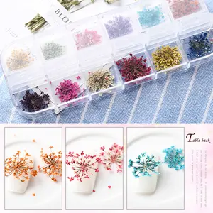 12 Farben Spitzen trockene Blume Nagel-Aufkleber großer trockener Blumen-Karton Nagel-Glitzer-Zubehör Nagelkunst-Produkt