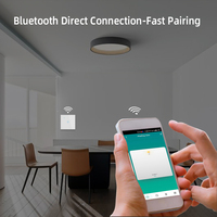 Smart Life Compatible 400W/Gang 2-Gang Panel táctil Wifi interruptor duradero para luz LED de pared de techo Universal US/EU/UK voltaje