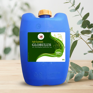 Aceite Esencial de Eucalipto Globulus, Extracto Natural de Plantas para la Producción de Perfumes y Cosméticos, Suministro a Granel - Product Image 1
