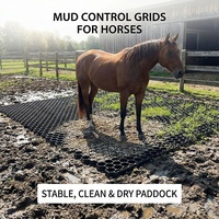Tapis en plastique pour écurie équestre, dalle pour enclos à chevaux, stabilisateur de sol en gravier, contrôle de la boue, grilles de sol, géogrille, travaux de terrassement