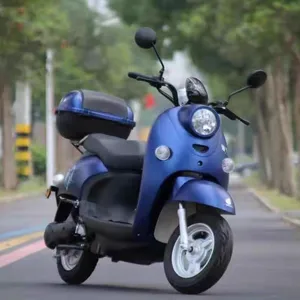 CEE três rodas bicicleta lítio bateria 800W 1000W triciclo 3 roda scooter elétrico para adulto