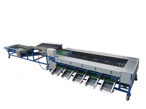 Máquina Clasificadora de Patatas Personalizada de Alta Calidad, Máquina Clasificadora de Frutas y Verduras a Excelente Precio - Product Image 4