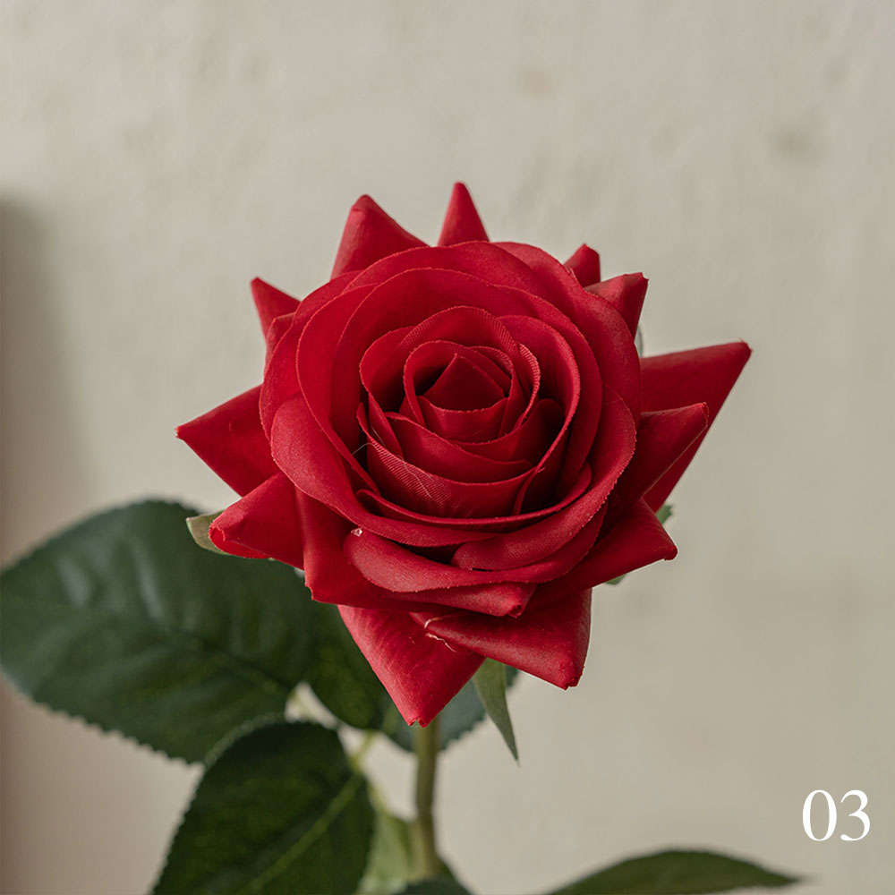 Rojo