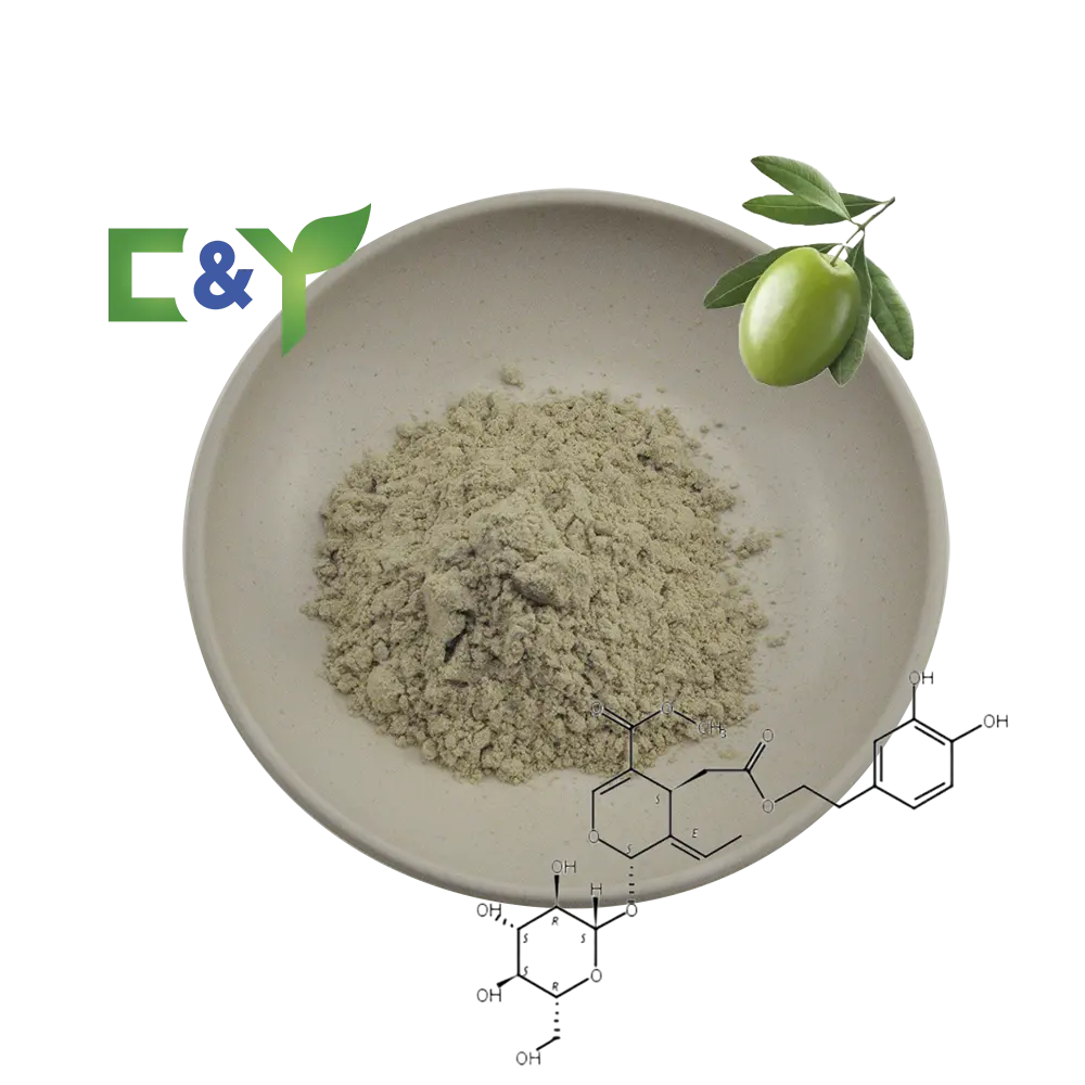 ISO Factory Supply Olive Leaf Extract 10%-80% Oleuropein powder with free sample