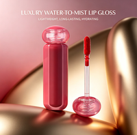 Nouvelle Tendance Nouvelle Formule Gloss à Lèvres Vegan Brillant Mat Non Transférable Imperméable Longue Tenue Marque Privée
