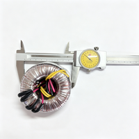 Transformateur toroïdal à enroulement en cuivre pur 300W 500W 1000W, entrée 50/60Hz 110V 240V, sortie 45-0-45V pour systèmes d'amplification audio