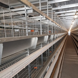 Lồng Gà Trứng Kiểu H Giá Tốt Nhất Bán Trực Tiếp Từ Nhà Máy Sản Xuất Sao Bạc - Product Image 6