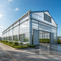Bâtiment en acier galvanisé antirouille pour serre agricole, structure métallique haute résistance, abri de jardin durable