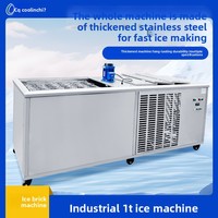 Venta Directa de Fábrica en Guangdong, Máquina de Hielo en Cubos de 1-5t, Modelo CYBZJ-1, para Cafeterías y Restaurantes, Equipo de Refrigeración para Procesamiento de Carne