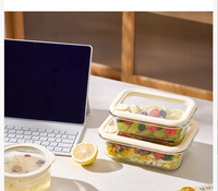 Bol de service portable en verre borosilicate avec couvercle en métal, léger, hermétique, résistant à la chaleur, compatible micro-ondes, pour le camping et les aliments