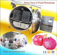 2026 CE-certificaat Xinyang 30m² Fruitvriesdroogmachine