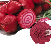 Poudre de racine de betterave rouge séchée par pulvérisation 100 % naturelle en gros, additif alimentaire, directement de l'entrepôt