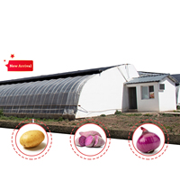 Serre solaire passive commerciale à tunnel unique, économique, avec isolation thermique pour l'hiver