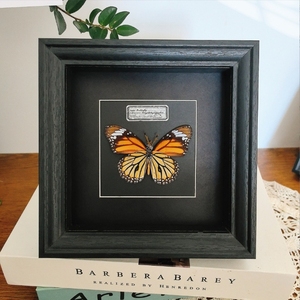 2025 nóng bán tùy chỉnh châu âu phong cách cổ điển <span class=keywords><strong>handmade</strong></span> <span class=keywords><strong>DIY</strong></span> 3D khung ảnh bằng gỗ - Product Image 1